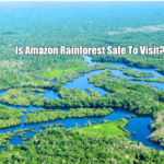 Is Amazon Rainforest Safe To Visit?