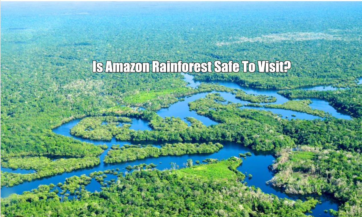 Is Amazon Rainforest Safe To Visit?