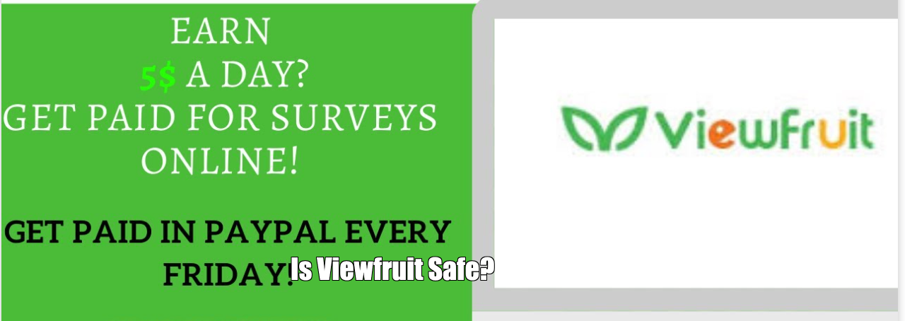 Is Viewfruit Safe? Read Our Comprehensive Review